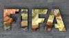  FIFA     