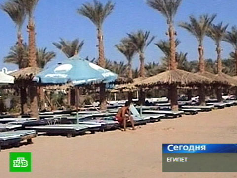 Я тоже хочу в египет. Акула в Турции на пляже