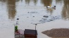 Потоп унес жизни пятерых жителей Чехии