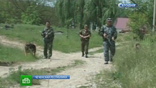 видео чеченских боевиков