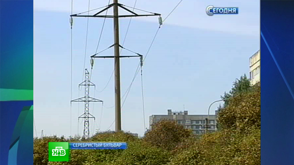 В Приморском районе Петербурга оборвался провод ЛЭП // НТВ.Ru