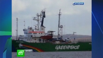 Питерский суд решает судьбу последнего активиста Greenpeace