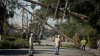 Землетрясение и шторм: калифорнийцы приходят в себя после мощного удара стихии