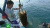 Владелец устричной фермы в Крыму поведал об уникальности черноморских моллюсков
