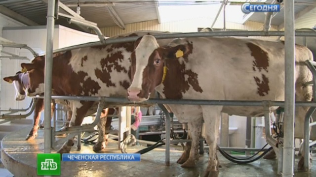 ��������� ������� ���������� ��������� ������� �������, �������� �&nbsp;�����.������, ��������, �������, �������� ���������, ��������, �����.���.Ru: �������, �����, ��������� ���������� ���