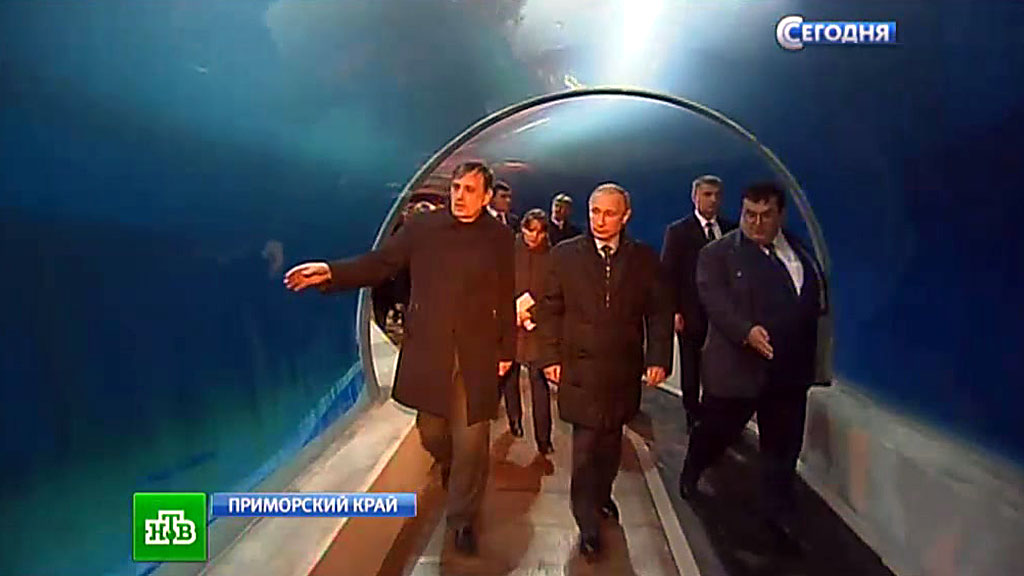 Путин осмотрел строящийся на Русском океанариум // Новости НТВ