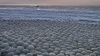 Чудо природы: Финский залив покрылся необычными ледяными шарами