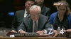 Чуркин нокаутировал Пауэр в дипломатической схватке на заседании Совбеза ООН