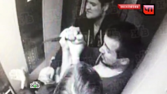 В Москве подростки стали жертвами кровавой резни в лифте