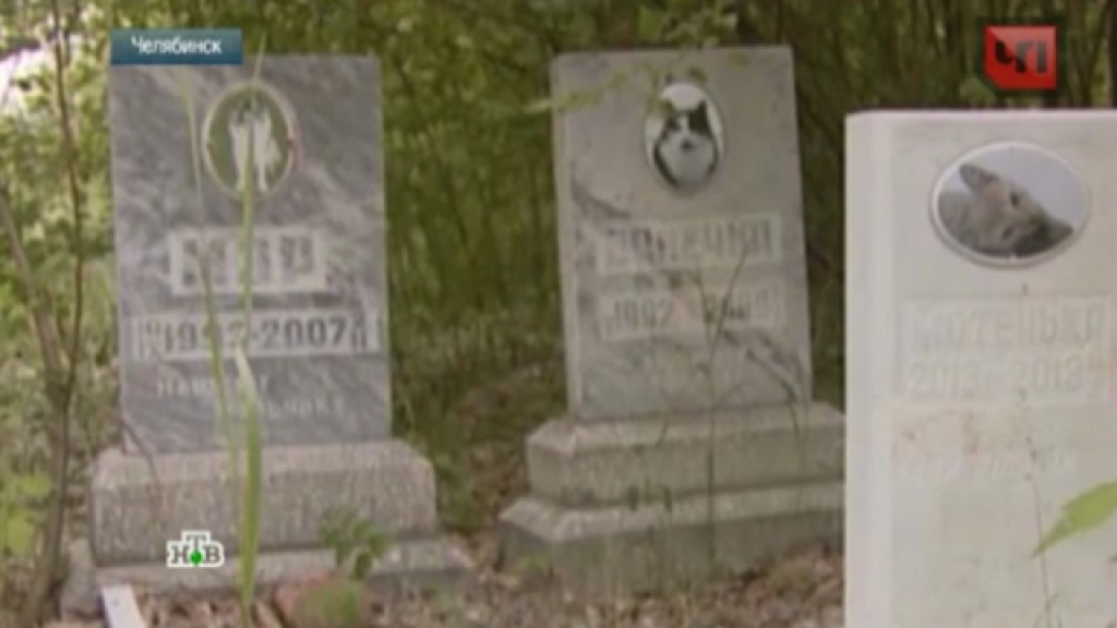 можно на кладбище хоронить животных