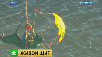 Активисты Greenpeace живым щитом встали на пути ледокола в США