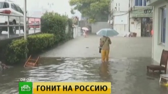 Тайфун «Гони» обрушится на Владивосток и южные районы края
