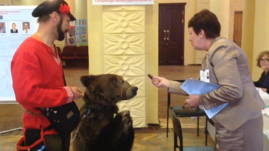 Видео собака привела медведей. Зверь пришел на выборы.
