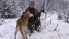 Собака застрелила хозяина на охоте в Пермском крае
