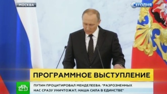 Путин призвал россиян объединиться перед лицом террористической угрозы