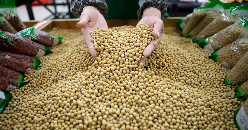 Экспорт сои. Переработка сои. Переработка сельскохозяйственной продукции. Переработка сельскохозяйственного сырья. Китайская соя.