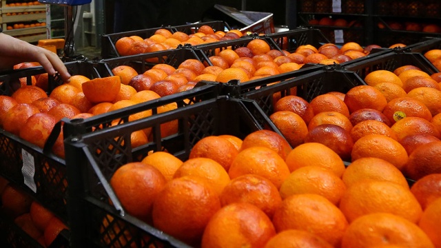 Путина удивило снижение поставок апельсинов из Марокко.Марокко, Путин, продукты, санкции.НТВ.Ru: новости, видео, программы телеканала НТВ
