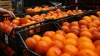Путина удивило снижение поставок апельсинов из Марокко