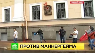 Доска Маннергейму в Петербурге «покраснела» от рук экстремистов
