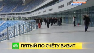 С вибрацией поля на стадионе «Санкт-Петербург Арена» обещают покончить за две недели