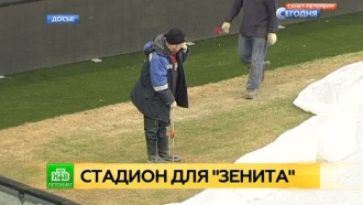 Главного тренера «Зенита» не устраивает газон на новом стадионе