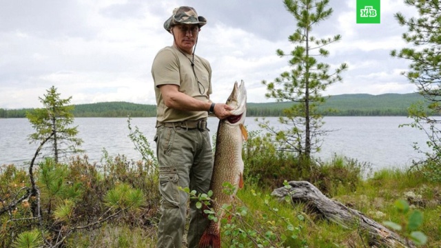 Путин на рыбалке: архивные фото.ЗаМинуту, Путин, Сибирь, охота и рыбалка.НТВ.Ru: новости, видео, программы телеканала НТВ