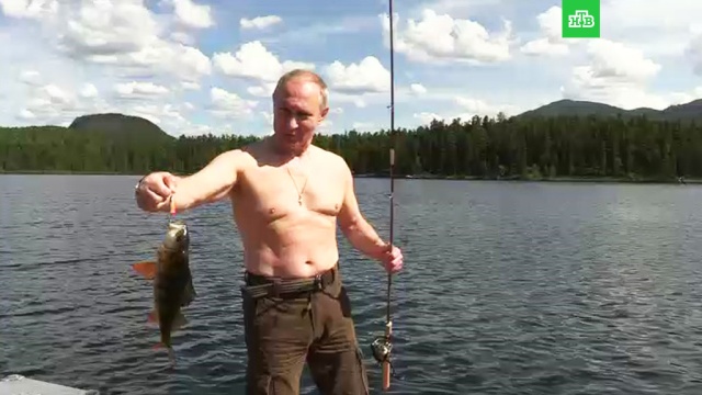 Путин порыбачил в тайге во время отдыха в Южной Сибири.Путин, Сибирь, охота и рыбалка.НТВ.Ru: новости, видео, программы телеканала НТВ