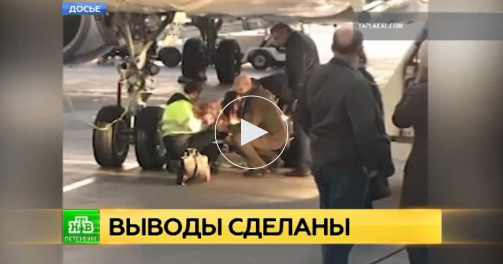 Срок расследования несчастного случая по заявлению. Стихи бастрыкина о навальном. Скандал в автобусе. Задержания в москве сегодня. Оцепление места происшествия.