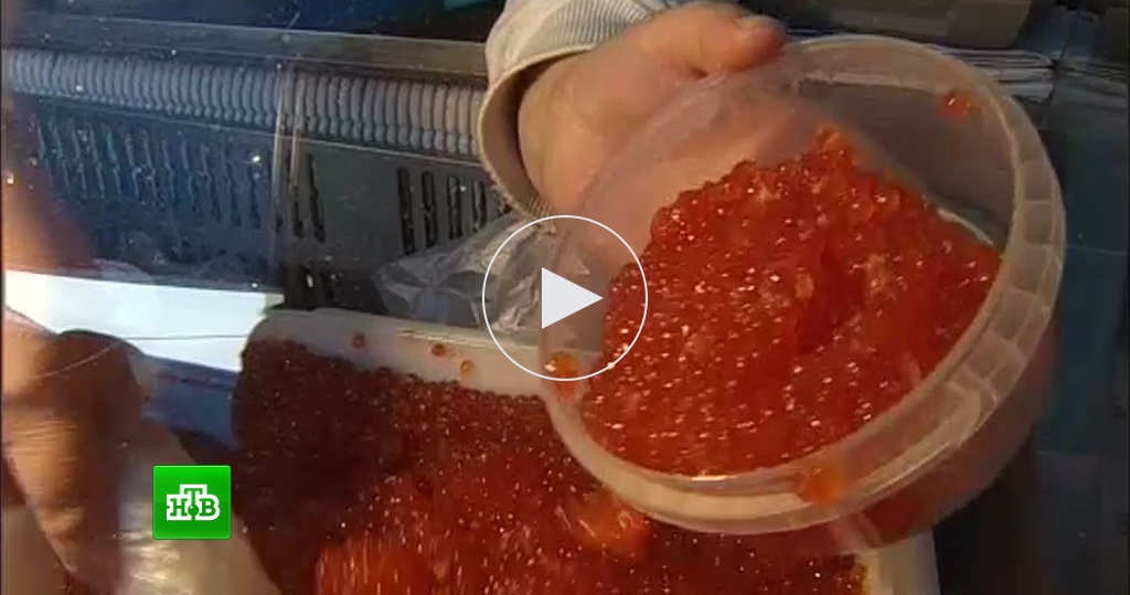 Красная икра ложкой. Понос от красной икры. Понос от красной икры. Икорный бизнес. Красная икра кеты при беременности.