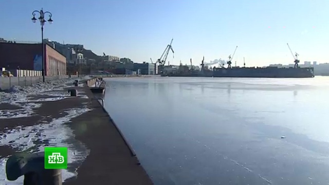 Аномальные морозы сковали льдом «незамерзающую» бухту во Владивостоке.Владивосток, Дальний Восток, Приморье, погода, снег, штормы и ураганы.НТВ.Ru: новости, видео, программы телеканала НТВ