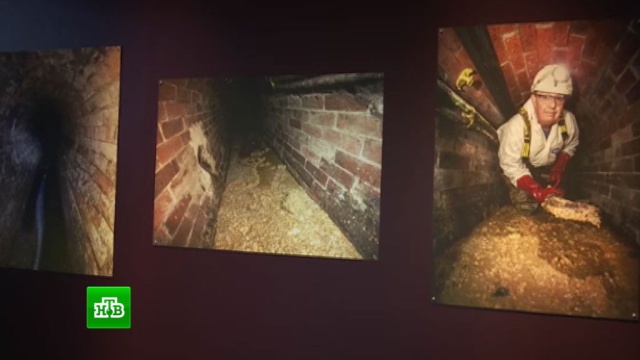Найденная в канализации Лондона 130-тонная глыба нечистот выставлена в музее.Великобритания, выставки и музеи, Лондон.НТВ.Ru: новости, видео, программы телеканала НТВ