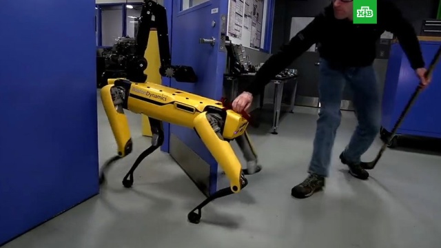 В Boston Dynamics научили робота сопротивляться человеку.США, роботы, технологии.НТВ.Ru: новости, видео, программы телеканала НТВ