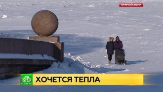 Петербуржцы готовятся пережить самую холодную ночь этой зимы