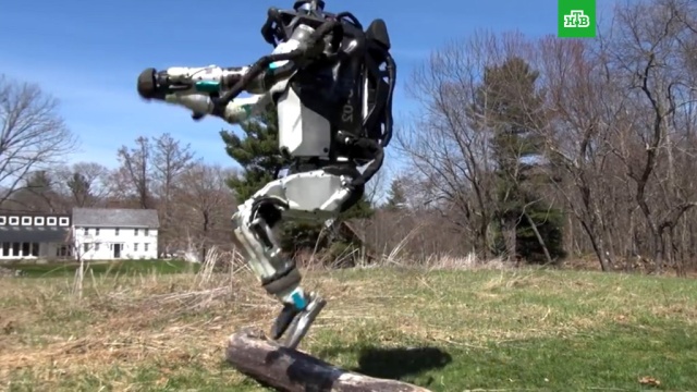 Роботы Boston Dynamics научились бегать и перепрыгивать препятствия.роботы, США, технологии.НТВ.Ru: новости, видео, программы телеканала НТВ
