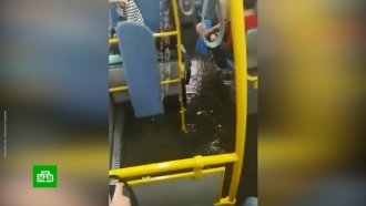 В Краснодаре после ливня автобусы на ходу наполняются водой