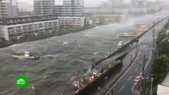 Жертвами тайфуна «Джеби» в Японии стали 8 человек, более 300 пострадали