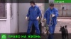 Петербурженка пытается через суд запретить выпускать обратно на улицу стерилизованных бездомных собак