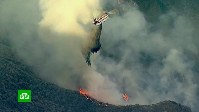 «Это катастрофа»: огненная стихия в Калифорнии продолжает наступать.США, лесные пожары, стихийные бедствия.НТВ.Ru: новости, видео, программы телеканала НТВ