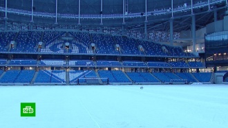 Новый стадион «Динамо»: какие сюрпризы ждут болельщиков