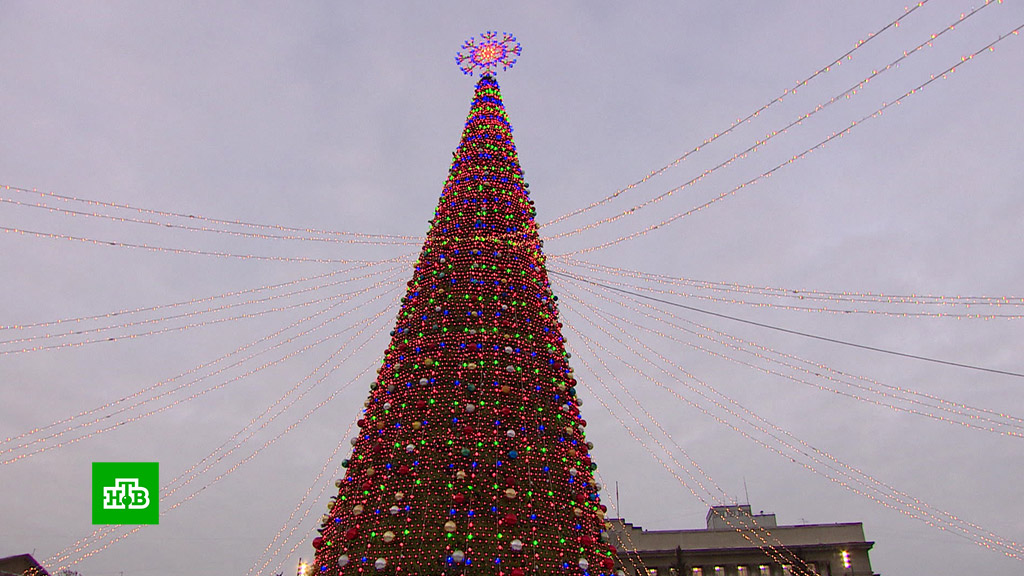 Новогодние елки мира: самая высокая и самая дорогая (ФОТО)