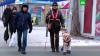 Перевозчик в Екатеринбурге наказан за скандал с «безбилетной» собакой