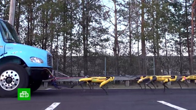 Роботы Boston Dynamics научились буксировать многотонный грузовик.США, роботы, технологии.НТВ.Ru: новости, видео, программы телеканала НТВ