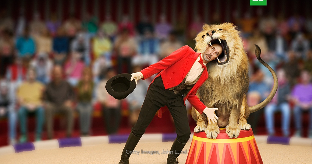 Животные в цирке: добро или зло? Разбираемся с экспертами и делаем выводы