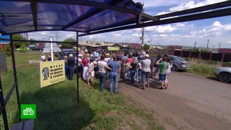 Жителей деревни под Красноярском обязали снести свои дома