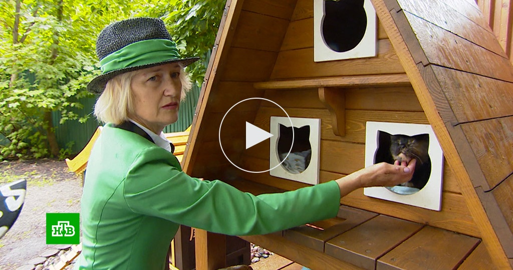 Роль котошефов в обществе Зеленоградска