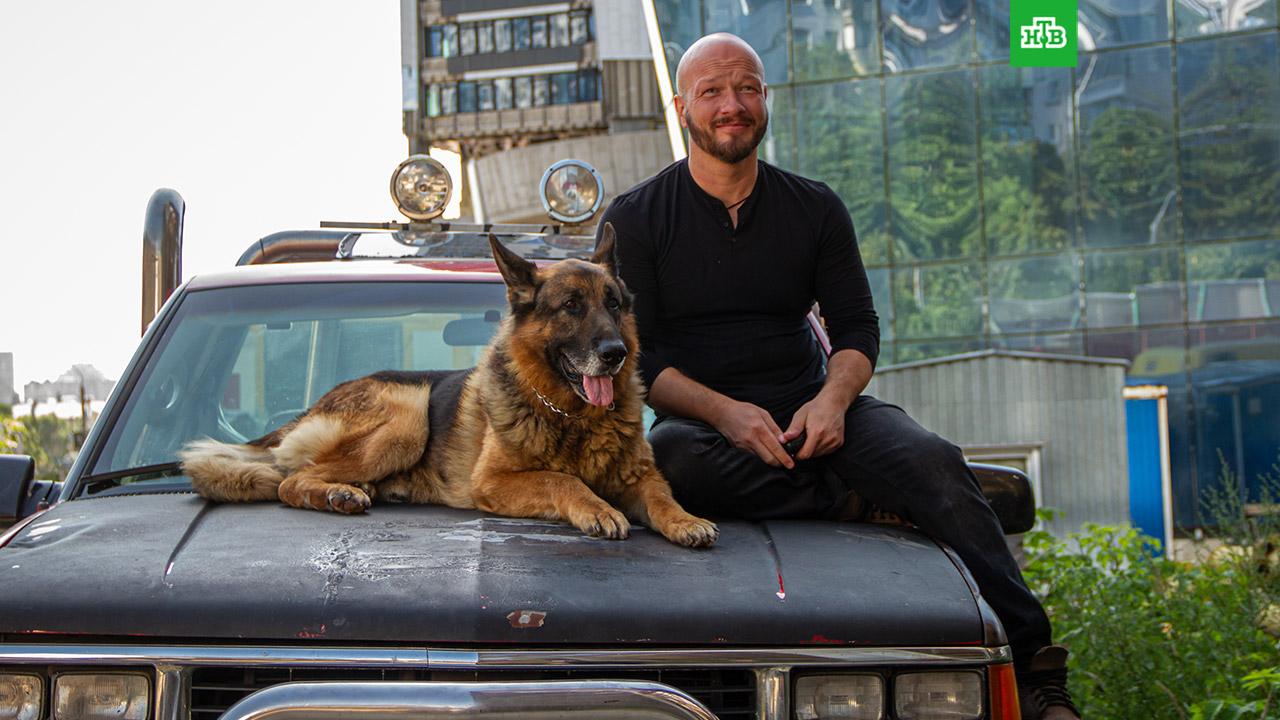 Никита Панфилов и его лохматый друг начинают новые расследования в пятом  сезоне детектива «Пёс» // Новости НТВ
