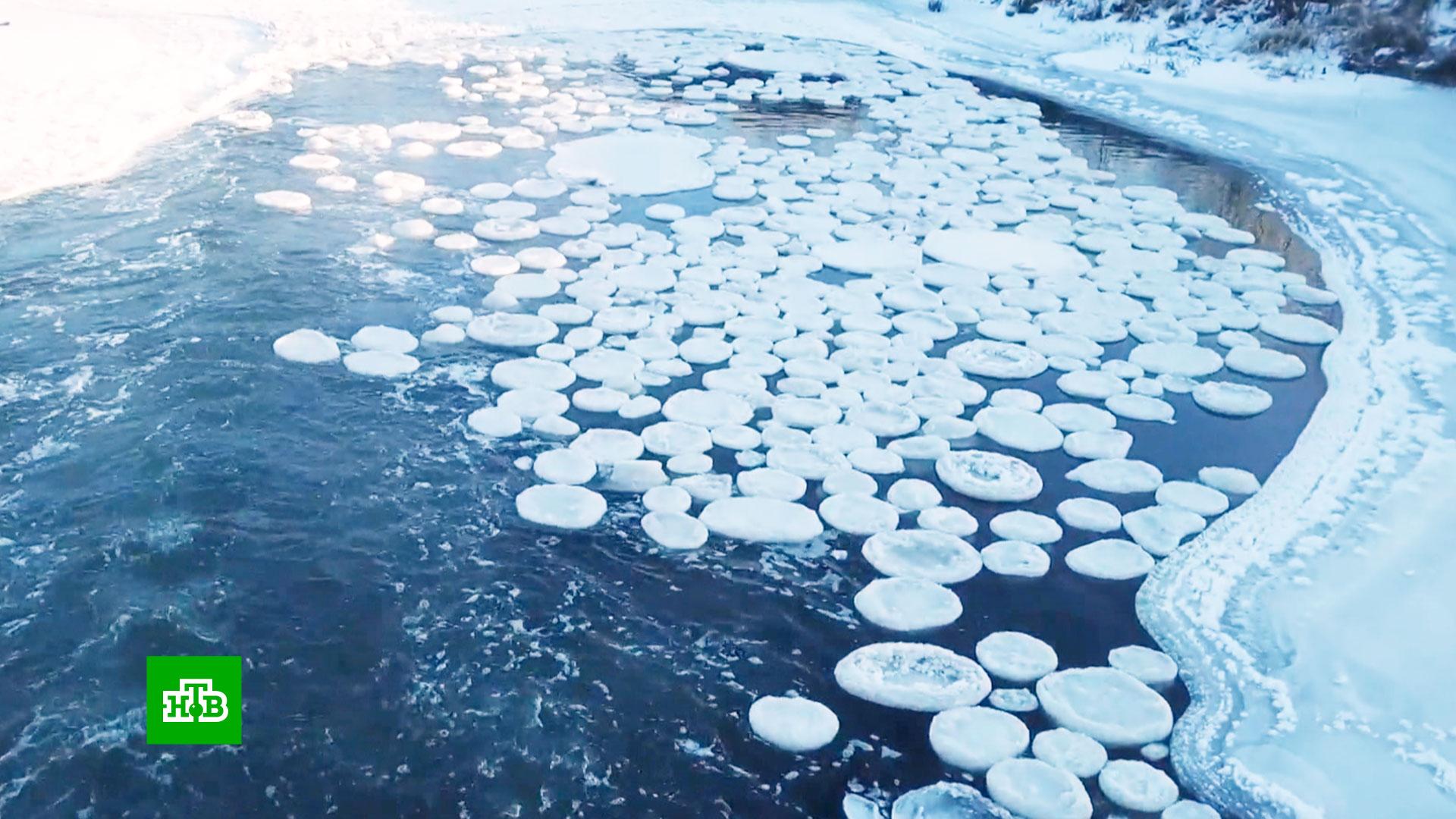 Блинчиковый лед в Антарктиде