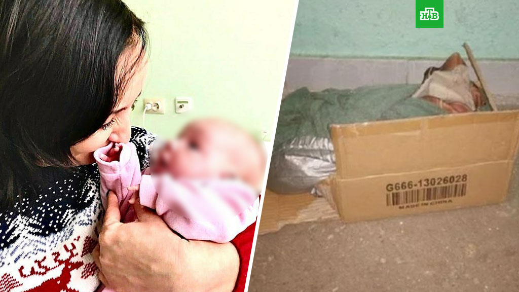 Кошка спасла новорожденную девочку в последний момент