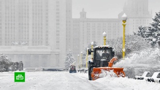 В Москве устраняют последствия ночного снегопада