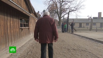 Послу России не дали выступить на траурной церемонии в Освенциме